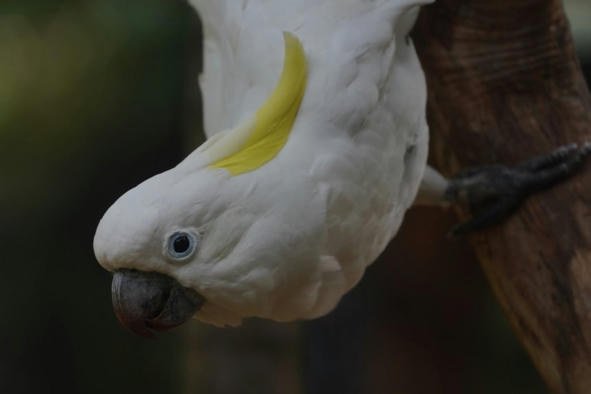 enterprise signal intelligence summary